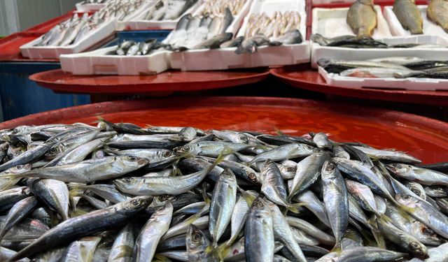 Balık tezgahlarında durgunluk: Hamsi yok, fiyatlar yükseldi