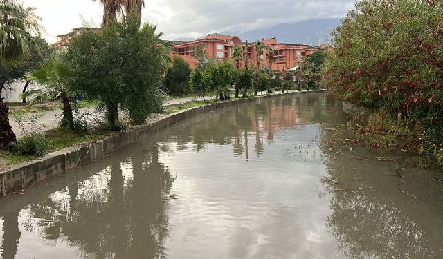 Ağva Deresi'nde yağış mesaisi