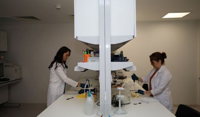 Akdeniz Üniversitesi’nden büyük başarı: İlk 20’de yer aldı