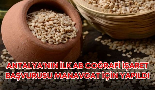 Antalya'nın ilk AB Coğrafi İşaret başvurusu 'Manavgat Altın Susamı' için yapıldı