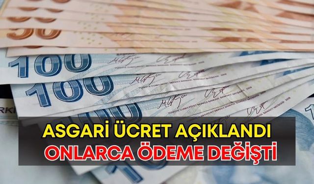 Asgari ücret 2026 açıklandı: İşsizlik Maaşı, GSS, BES ve Stajyer Ücreti baştan aşağı değişti