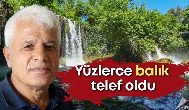 Antalya’da balıklar ölüme terk edildi! Düdeni besleyen kanalda tepki çeken görüntüler!