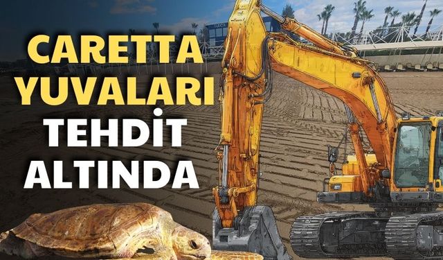Belek'te caretta yuvalarına iş makinesiyle girdiler!