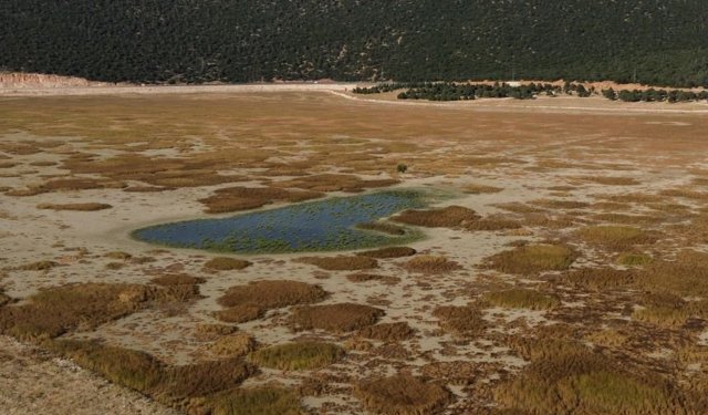 Prof. Dr. Murat Türkeş, uyardı: Yağışlar geçici, su stresi kalıcı