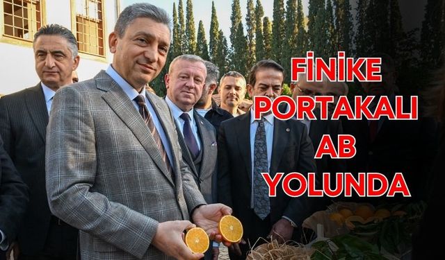 Finike Portakalı, Avrupa Birliği yolunda