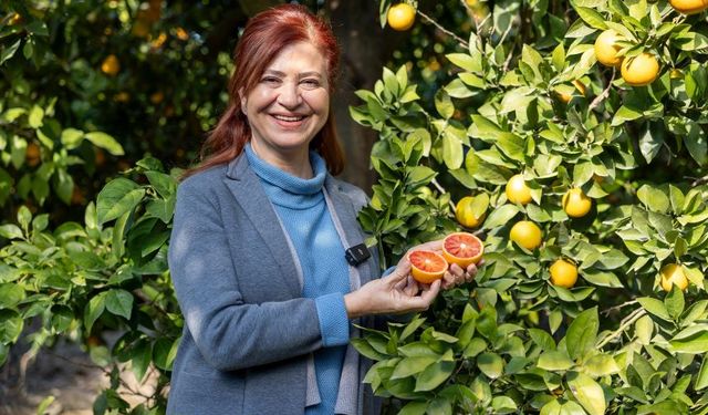 Mersin kan portakalı tescil yolculuğunda