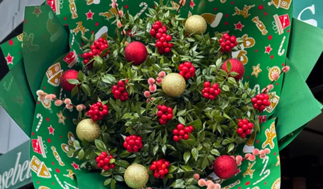 İki bitkinin tek vücut olduğu kokina çiçeği hakkında bilinmeyenler