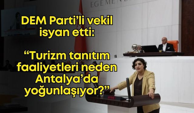 DEM Partili vekil, turizmin Antalya dışına da yaygınlaştırılmasını önerdi