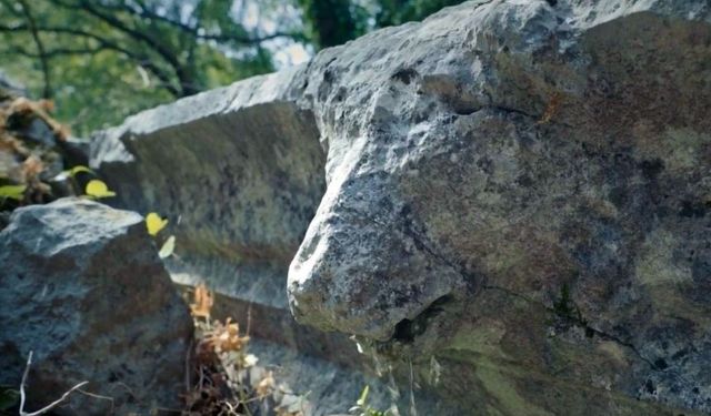Termessos’ta tarihi eser tahribatı