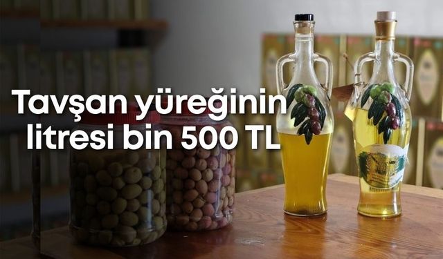 Antalya'nın 'İlaç gibi' zeytinyağı: Tavşan yüreğinin litresi bin 500 TL