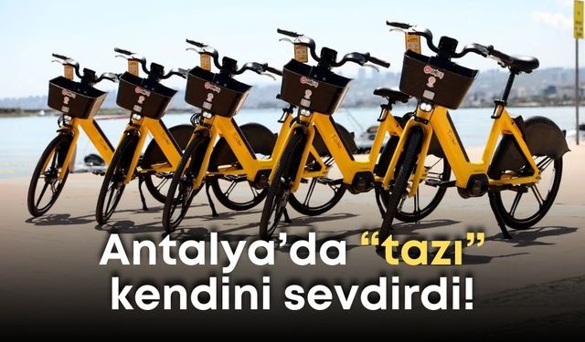Antalyalılarda “tazı” mutluluğu! Şehrin her noktasında onlar var!