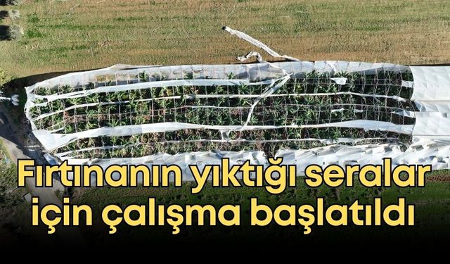 Antalya'da fırtınanın yıktığı seralar için ekipler inceleme başlattı