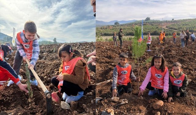 81 ilde fidanlar toprakla buluşuyor