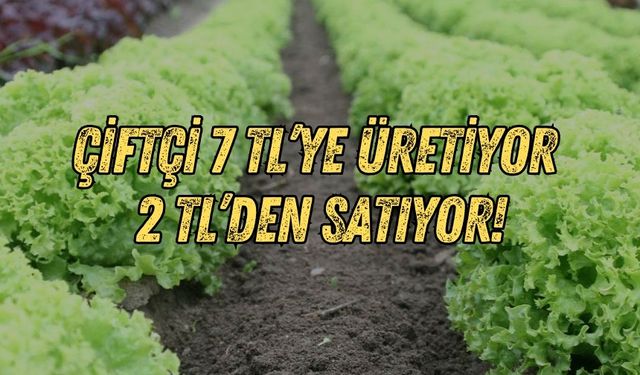 Marul haberimiz ses getirdi! Milletvekili çiftçinin serasına girdi
