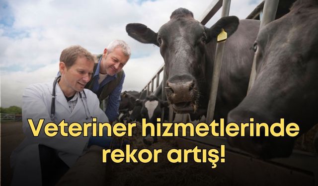 Veteriner hizmetlerinde rekor artış!