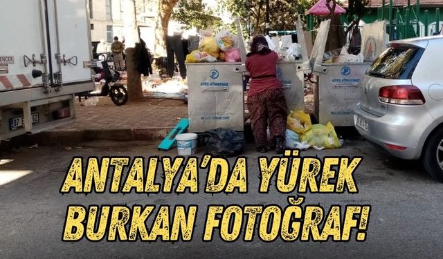 Antalya’da yürek burkan fotoğraf!