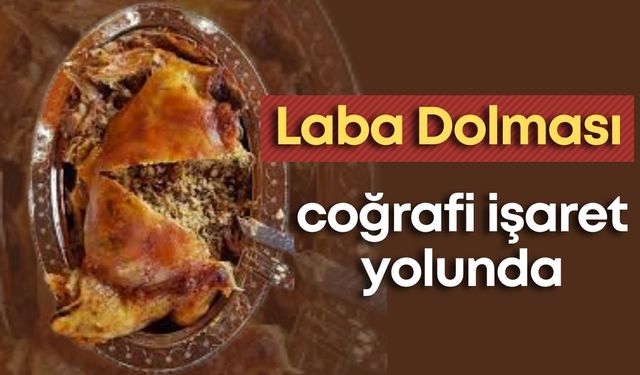 Alanya’nın eşsiz lezzeti Laba Dolması için coğrafi işaret başvurusu