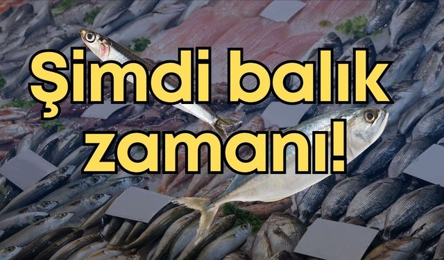 Antalya’da 3 Ocak 2026 güncel balık fiyatları…