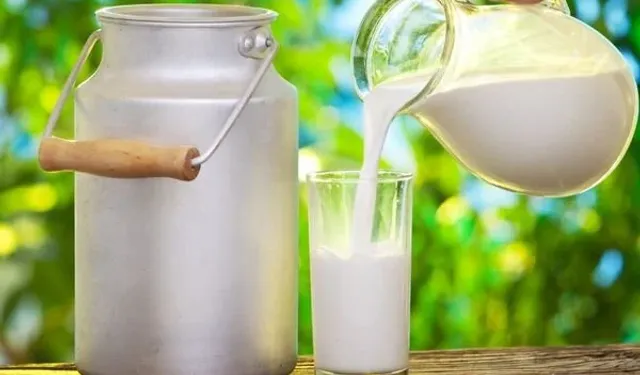 SÜT VE SÜT ÜRÜNLERİ ALIMI