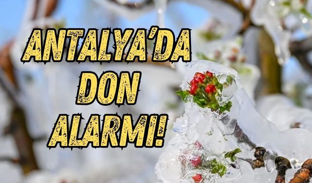 Antalya iç kesimlerinde kuvvetli don ve buzlanma uyarısı!