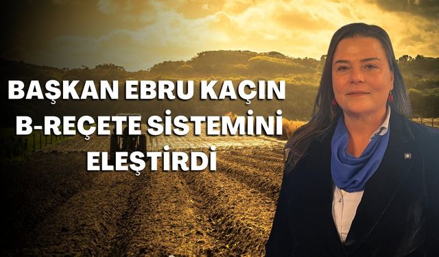 Ziraat Mühendisleri Odası Başkanı Kaçın'dan B-Reçete eleştirisi