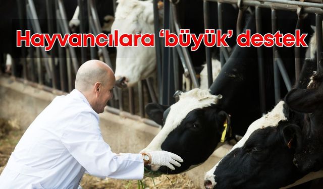 Antalya Büyükşehir, 2025 yılında hayvancıları unutmadı! Yem desteği yüz güldürdü