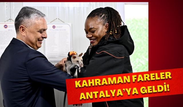 Kahraman fareler Antalya’ya geldi!
