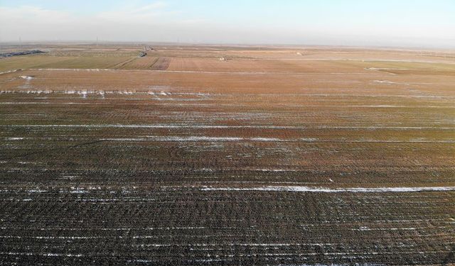 Konya Ovası'nda kar yetersiz, zirai don tehlikesi var