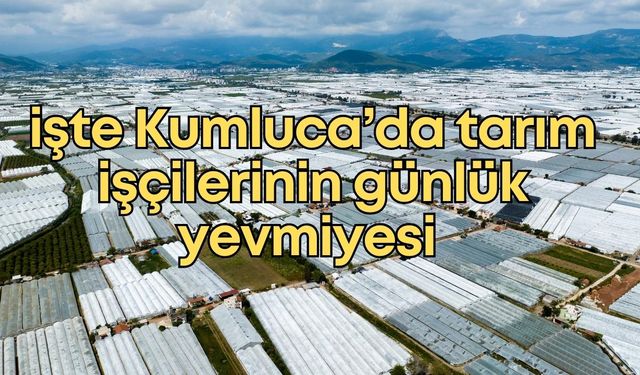 Tarımın kalbi Kumluca’da 2026 yılı işçi yevmiyeleri belli oldu