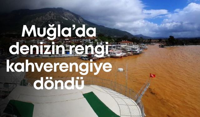 Muğla’da denizin rengi kahverengiye döndü