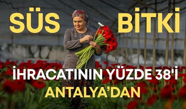 Süs bitki ihracatının yüzde 38'i Antalya'dan