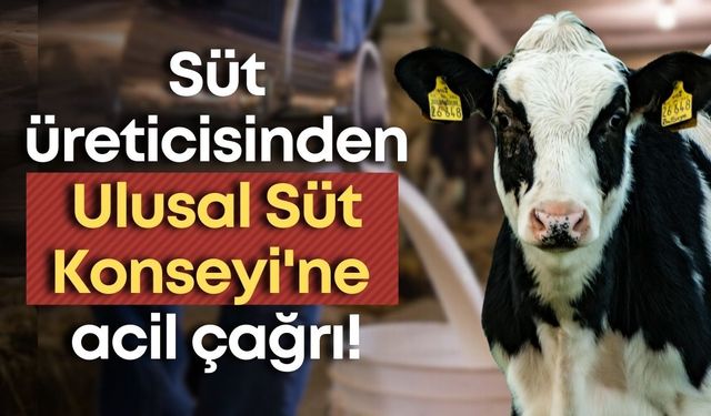 Süt üreticisinden Ulusal Süt Konseyi'ne acil çağrı!