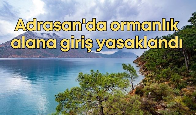 Adrasan'da ormanlık alana giriş yasaklandı