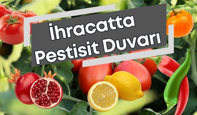 Türkiye, pestisitli sebze-meyvede Avrupa 2’ncisi