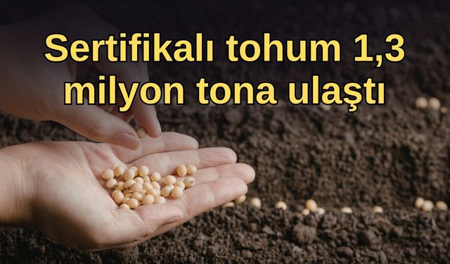 Sertifikalı tohum 1,3 milyon tona ulaştı
