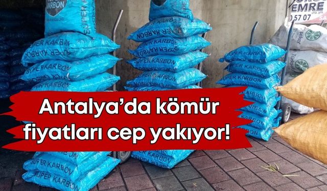 Antalya’da kömür fiyatları cep yakıyor! Dar gelirli vatandaş isyanda
