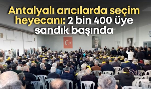 Antalyalı arıcılarda seçim heyecanı: 2 bin 400 üye sandık başında