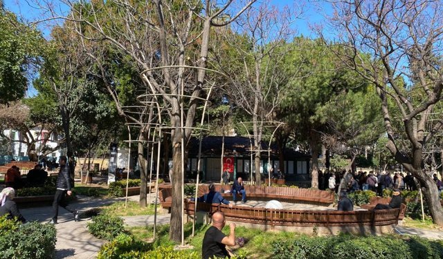 Aydın Kanza Parkı’nda ağaçların sessiz çığlığı: Demir kelepçeler yıllardır çıkarılmamış