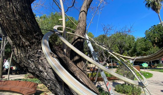 Aydın Kanza Parkı’nda ağaçların sesi duyuldu: Kelepçeler yıllar sonra söküldü