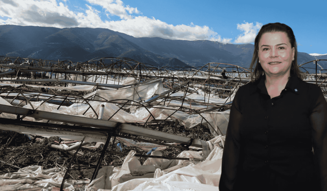 ZMO Şube Başkanı Ebru Kaçın’dan tarım sigortası ve çevre uyarısı