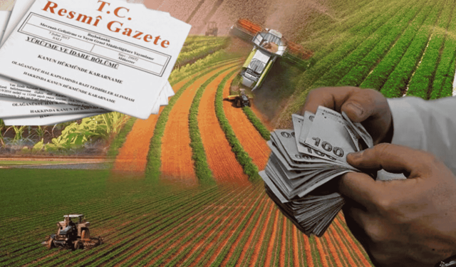 Esnafa faiz destekli kredide yeni düzenleme: Vergi ve SGK şartı getirildi