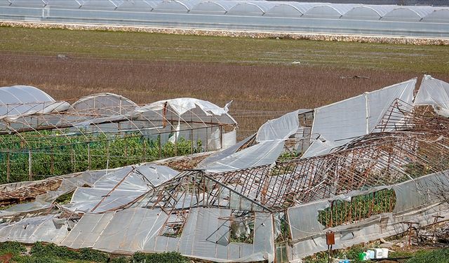 Gazipaşa’da dolu ve fırtınanın tarıma zararı 58 milyon lira!