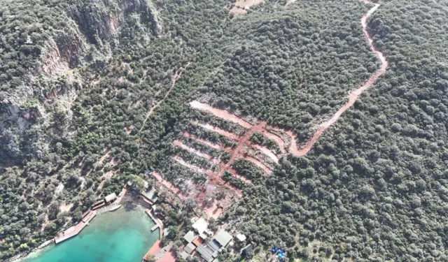 Aliye Coşar'dan Limanağzı tepkisi: "Doğa pazarlık konusu olamaz"