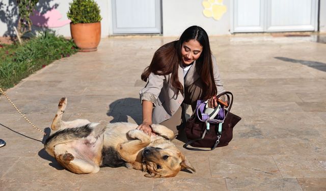 Büyükşehir’den “Satın alma sahiplen” çağrısı