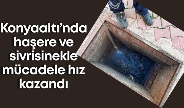 Konyaaltı’nda haşere ve sivrisinekle mücadele hız kazandı