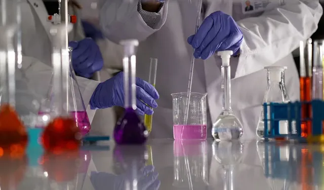 LABORATUVAR MALZEMESİ SATIN ALINACAKTIR