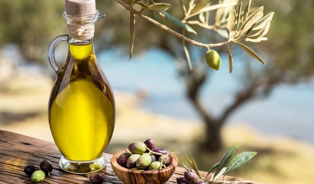 Antalya, Zeytinyağı Çalıştayı'na ev sahipliği yapacak