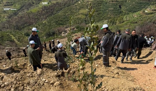 Alanya’da fidanlar toprakla buluştu!