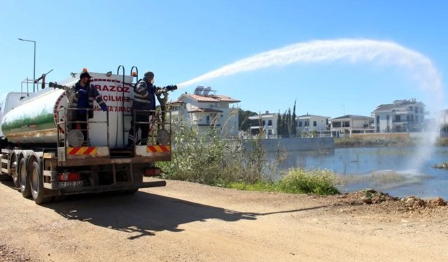 Antalya’da sivrisineğe karşı seferberlik ilan edildi!