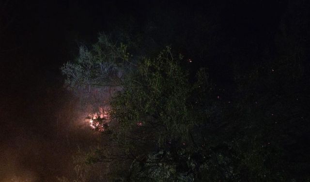 Alanya'da orman yangını! 1 dönüm alan zarar gördü